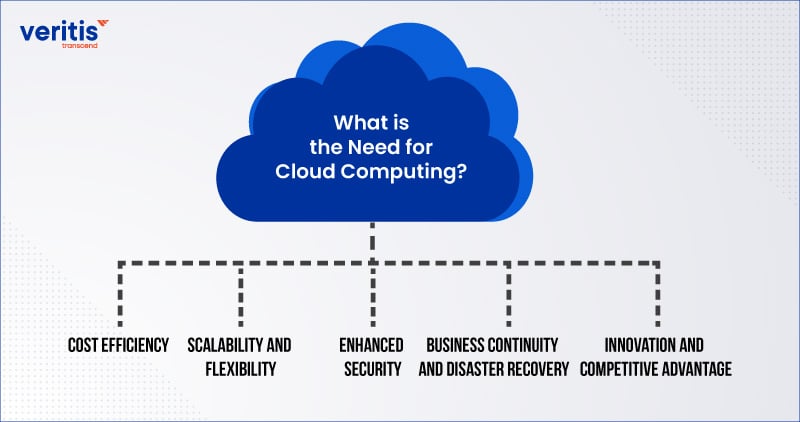 What is the Need for Cloud Computing?
